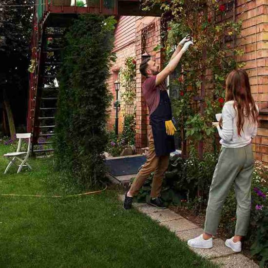 Garden Renovation Contractor in Dubai