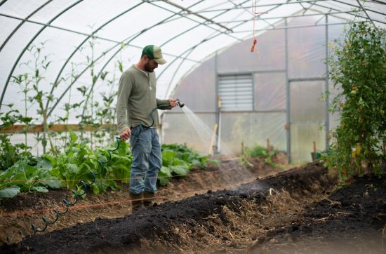 Gardener Vs Landscaper