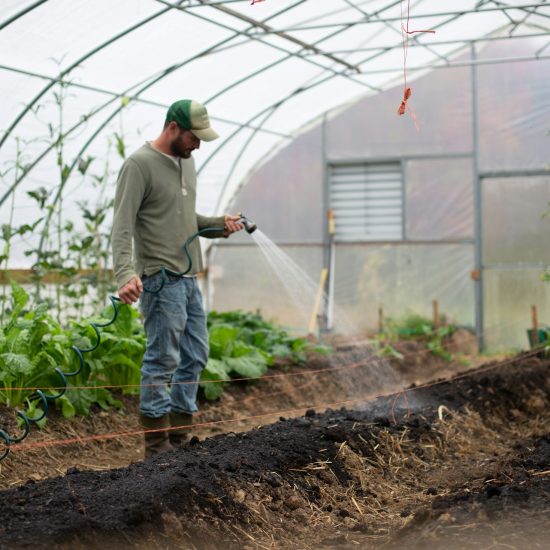 Gardener Vs Landscaper